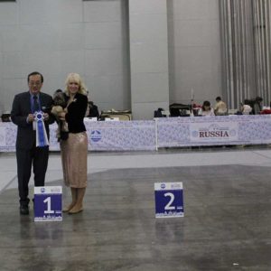 IDS-«RKF-CUP-2019»-CACIB-FCI